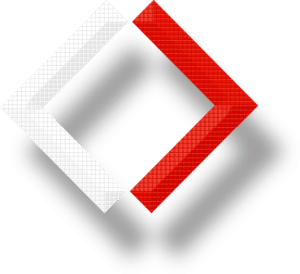Corporate Networks Logo